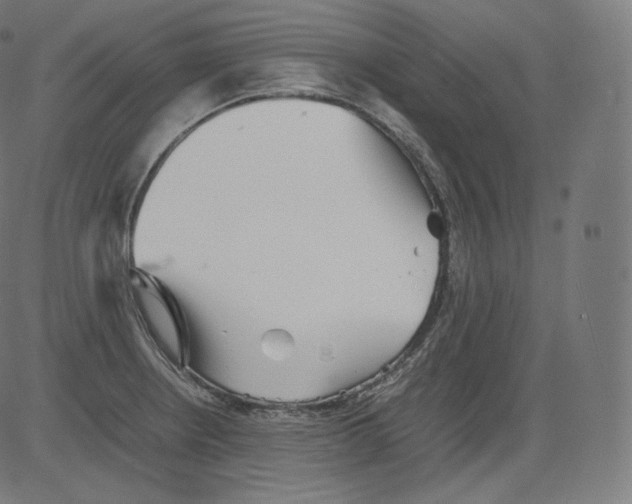 X0000081431234200702092151