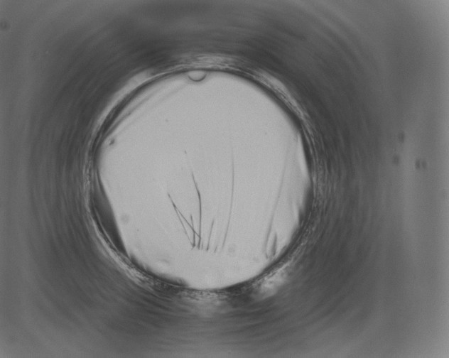 X0000081431235200702092151