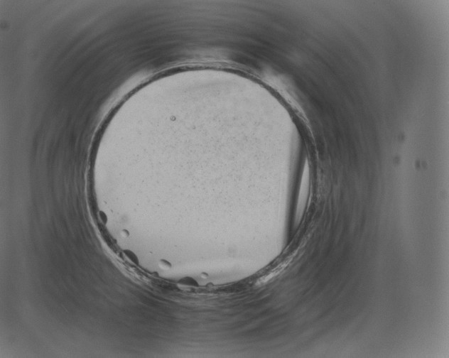 X0000081431237200702092151