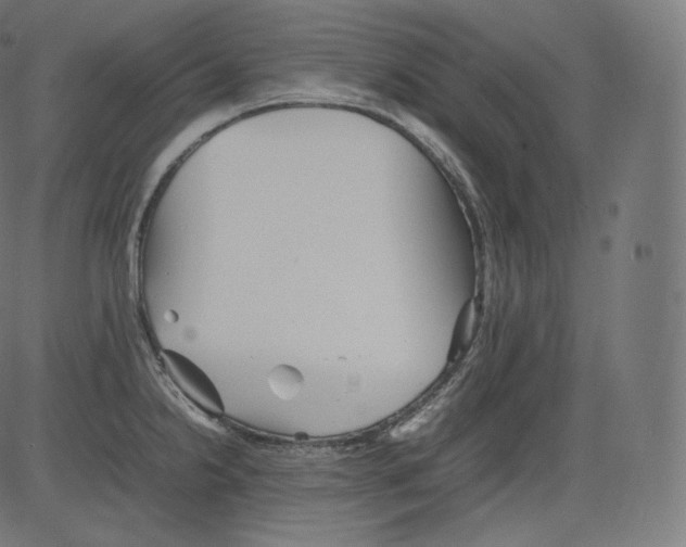 X0000081431238200702092151