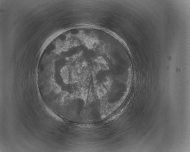 X0000081431239200702092151