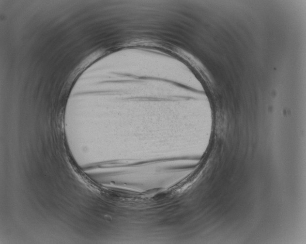 X0000081431241200702092151