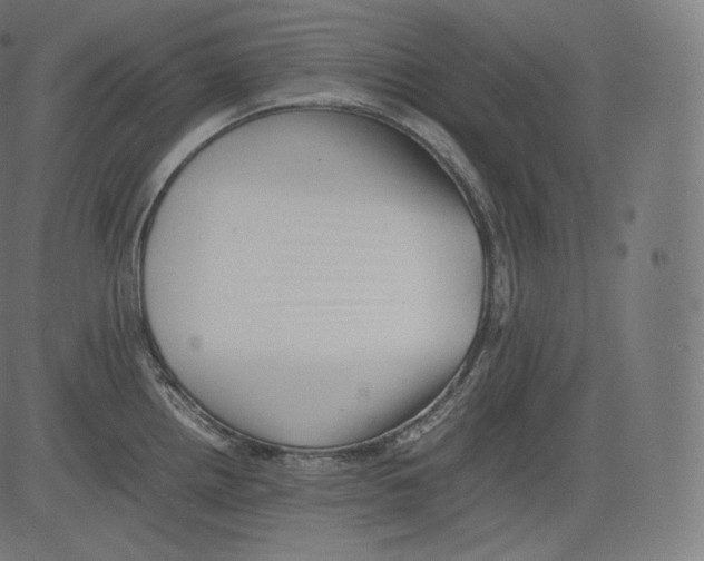 X0000081431242200702092151