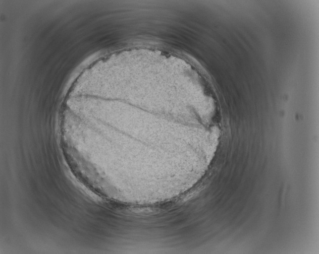 X0000081431243200702092151