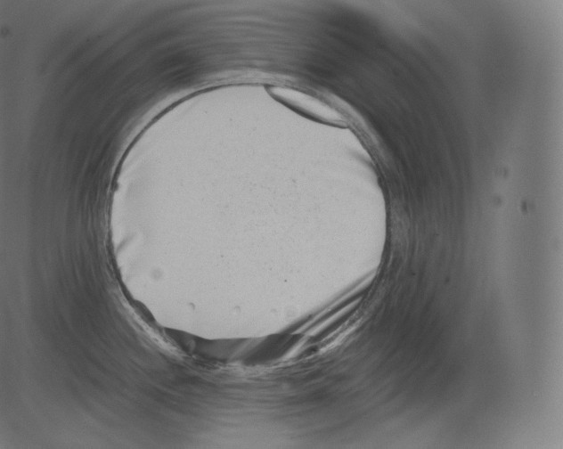 X0000081431244200702092151