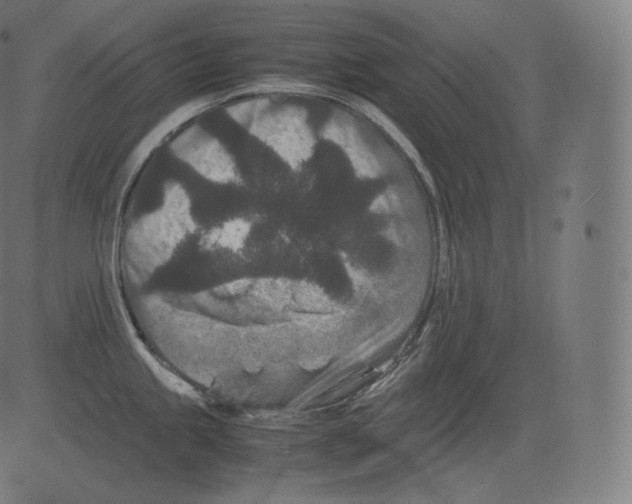 X0000081431245200702092151