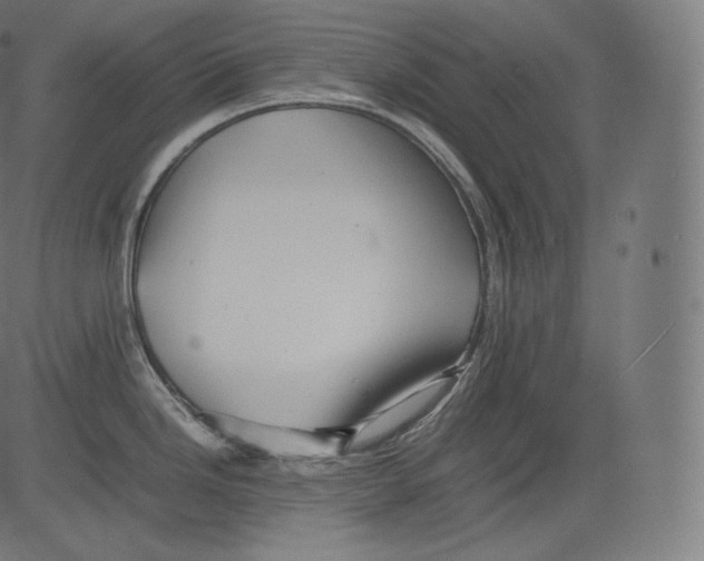 X0000081431246200702092152