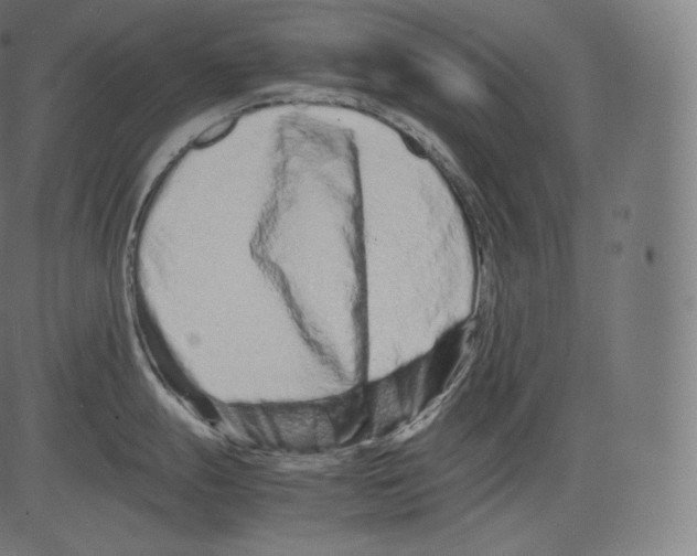 X0000081431247200702092152