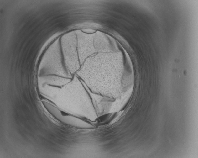 X0000081431248200702092152