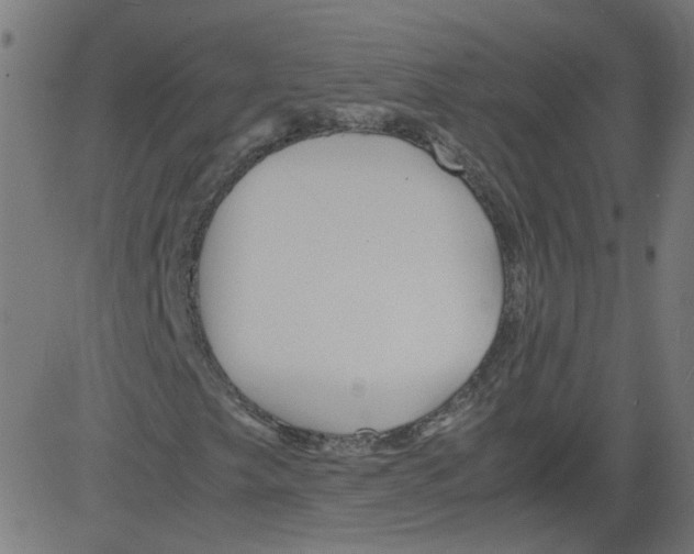 X0000081431249200702092151