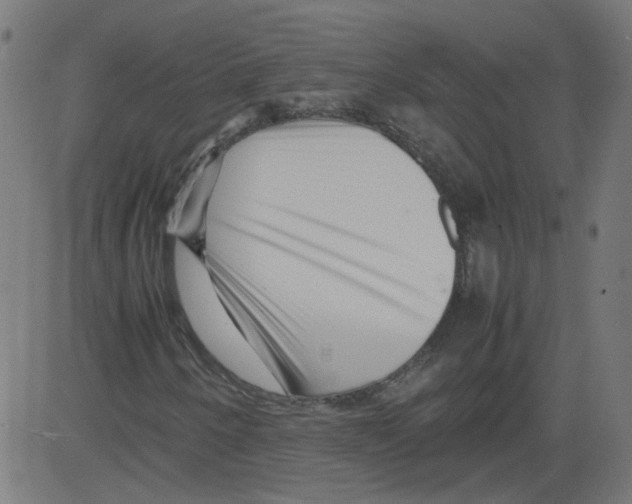 X0000081431250200702092151