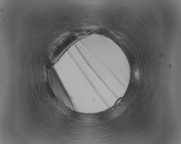 X0000081431252200702092151