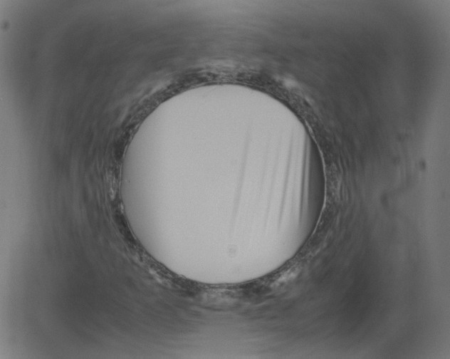 X0000081431253200702092151