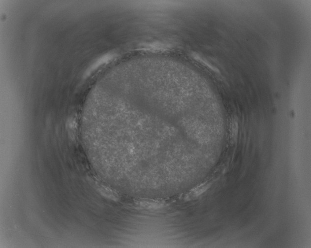 X0000081431254200702092151