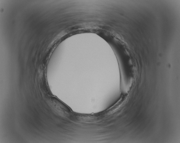 X0000081431257200702092151