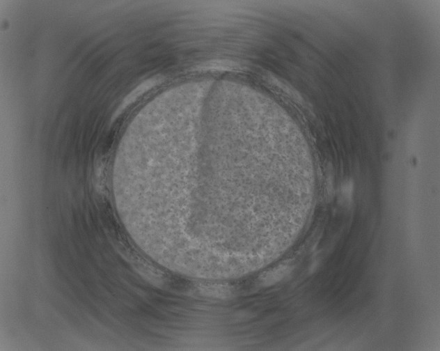 X0000081431258200702092151