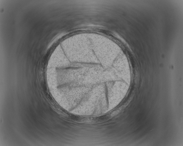 X0000081431259200702092151