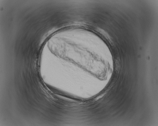 X0000081431260200702092151