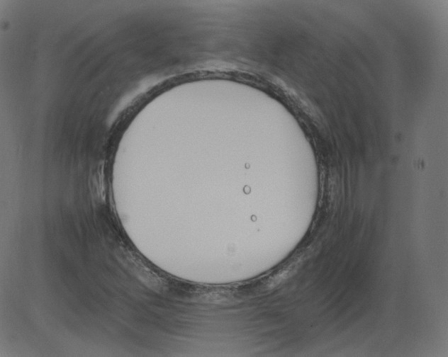 X0000081431262200702092151