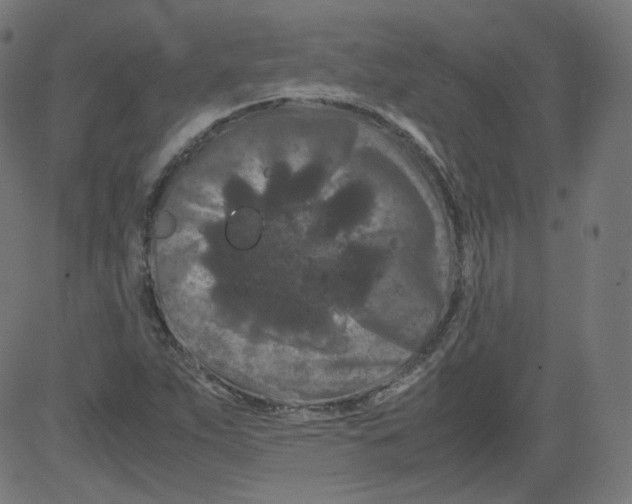 X0000081431263200702092151