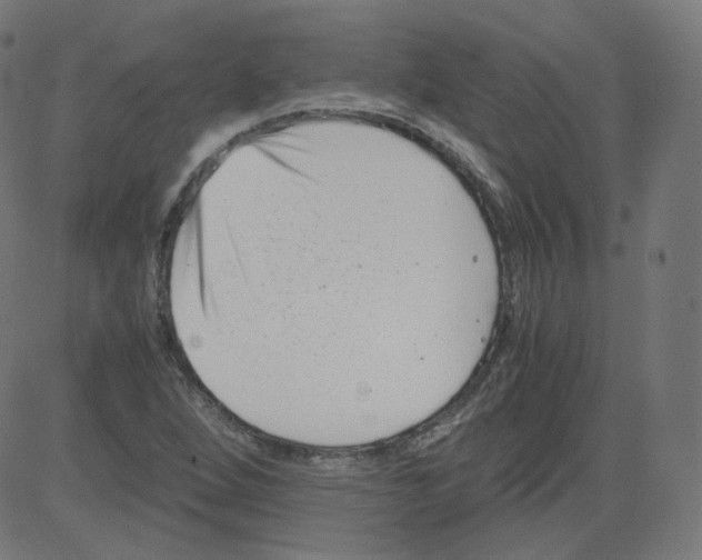 X0000081431264200702092151