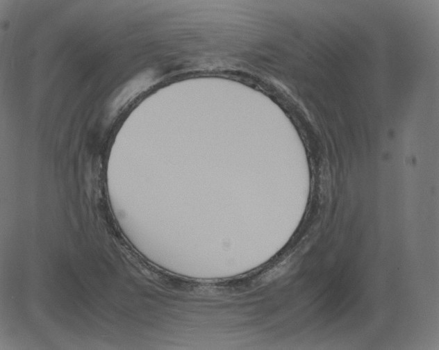 X0000081431265200702092150