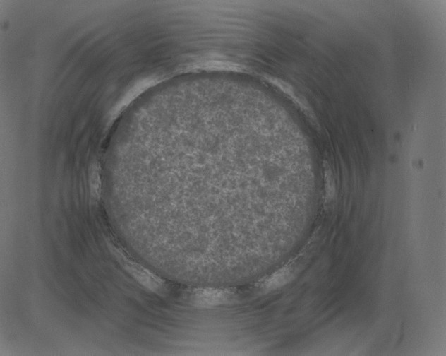 X0000081431266200702092150