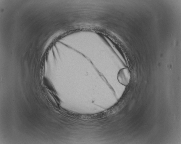 X0000081431267200702092150