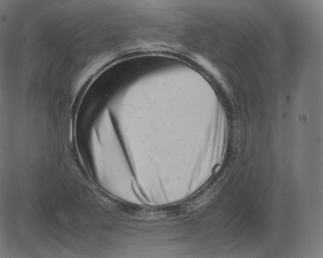 X0000081431269200702092150