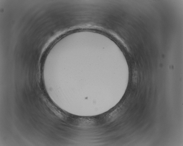 X0000081431270200702092150