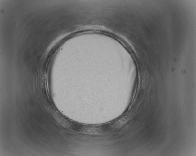 X0000081431271200702092150