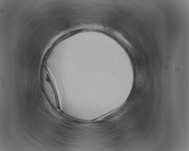 X0000081431272200702092150