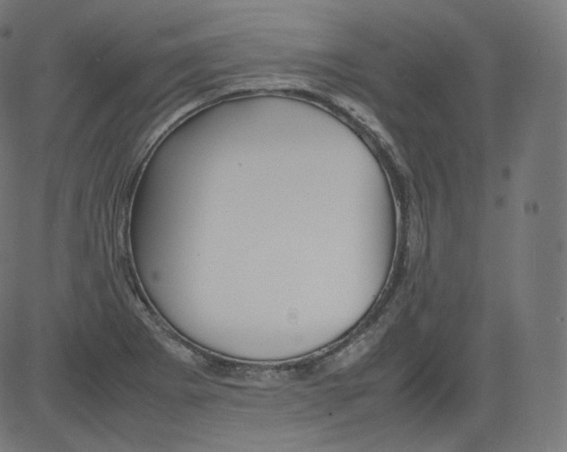 X0000081431273200702092150