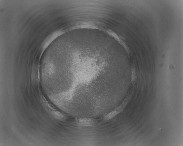 X0000081431274200702092150