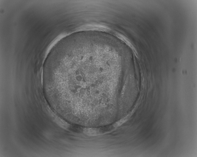 X0000081431275200702092150