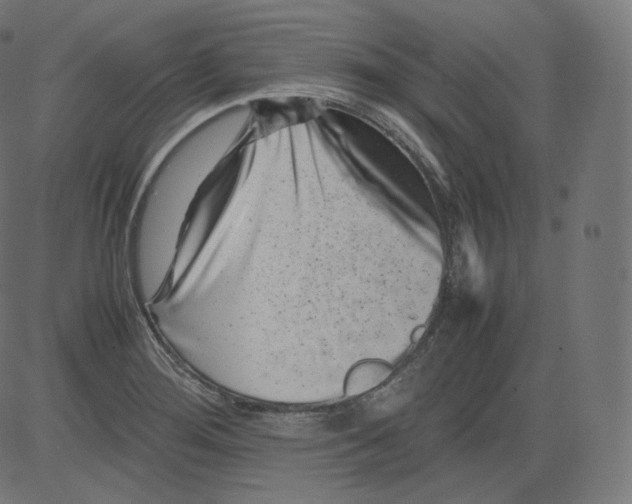 X0000081431276200702092150