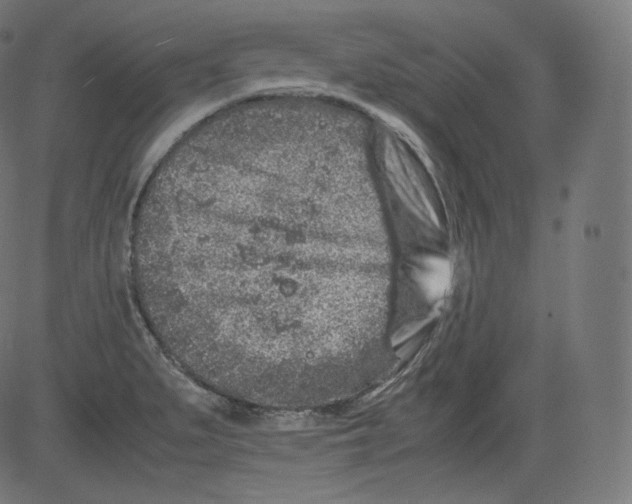 X0000081431279200702092150