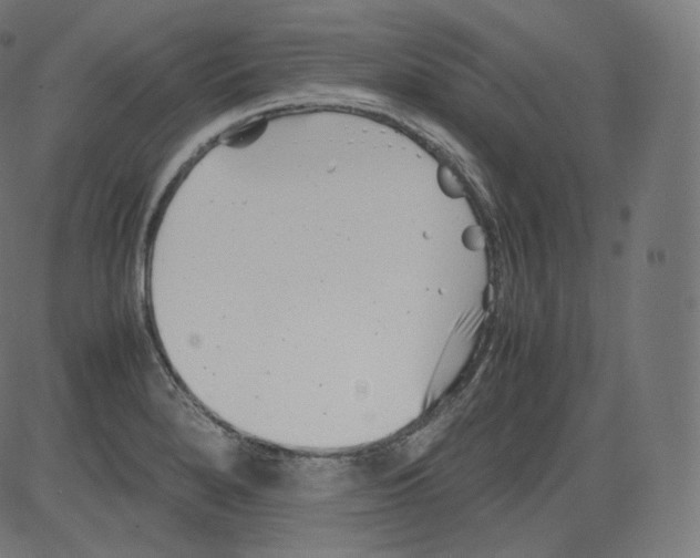 X0000081431280200702092150