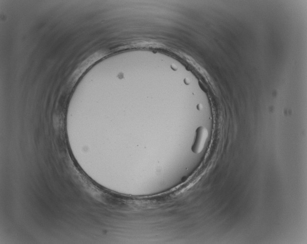 X0000081431281200702092150