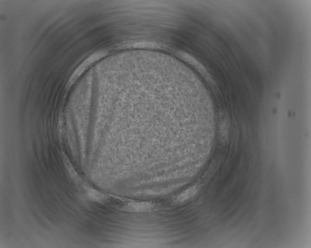 X0000081431282200702092150