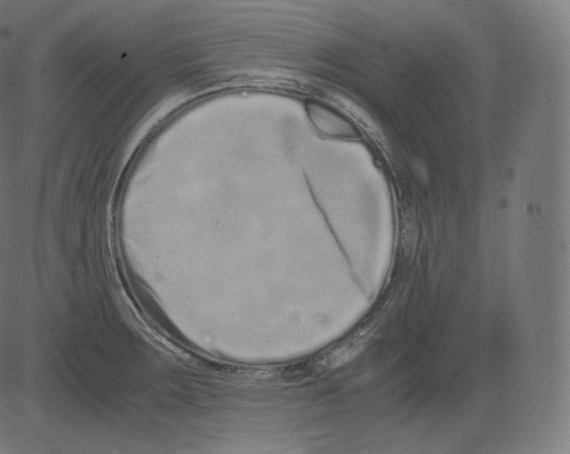 X0000081431283200702092150