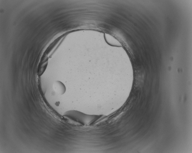 X0000081431284200702092150