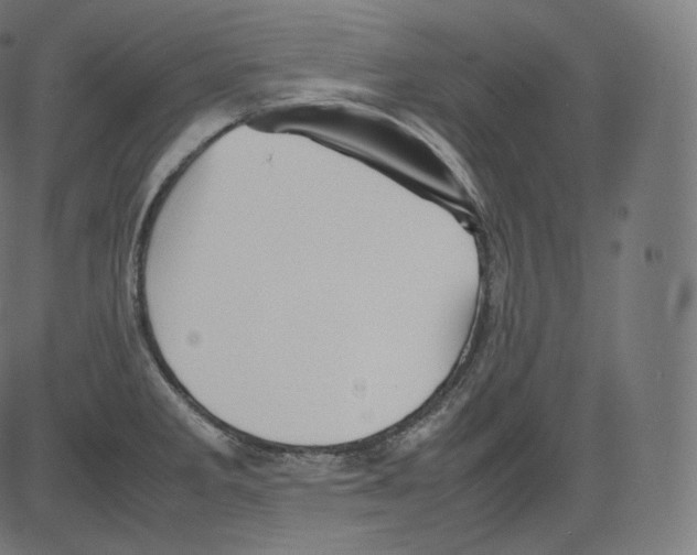 X0000081431285200702092150