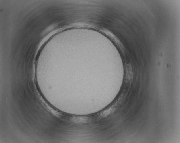 X0000081431286200702092150