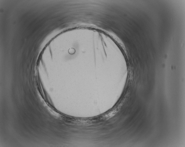 X0000081431287200702092150