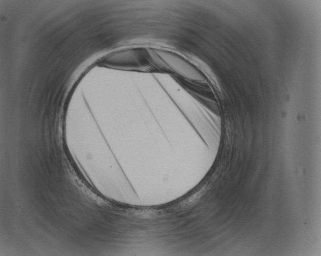 X0000081431288200702092150