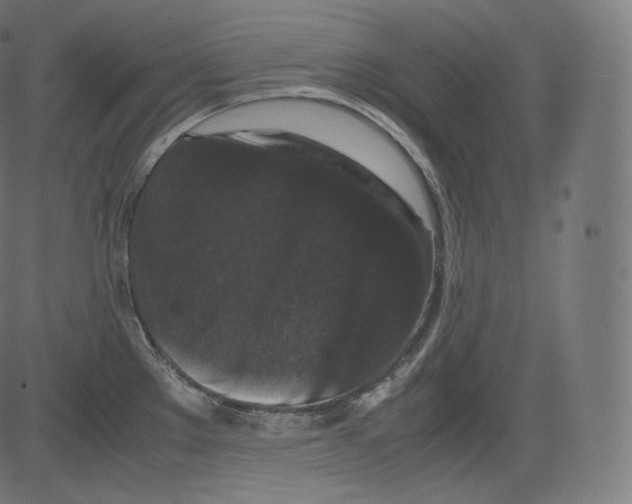 X0000081431289200702092150