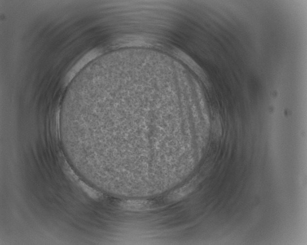 X0000081431290200702092150