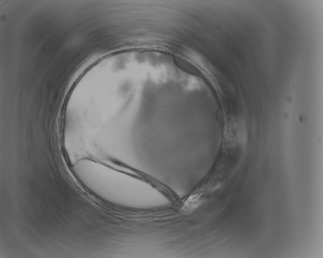 X0000081431291200702092150