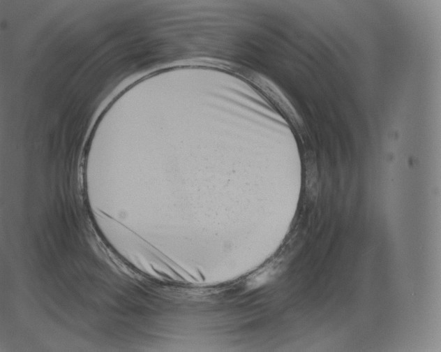 X0000081431292200702092150